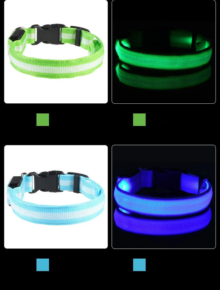 LED Nylon Dog Collar & Leash