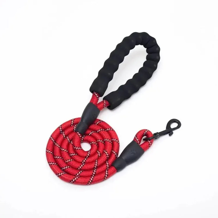 Reflective Nylon Dog Leash