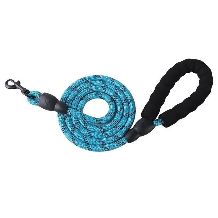 Reflective Nylon Dog Leash