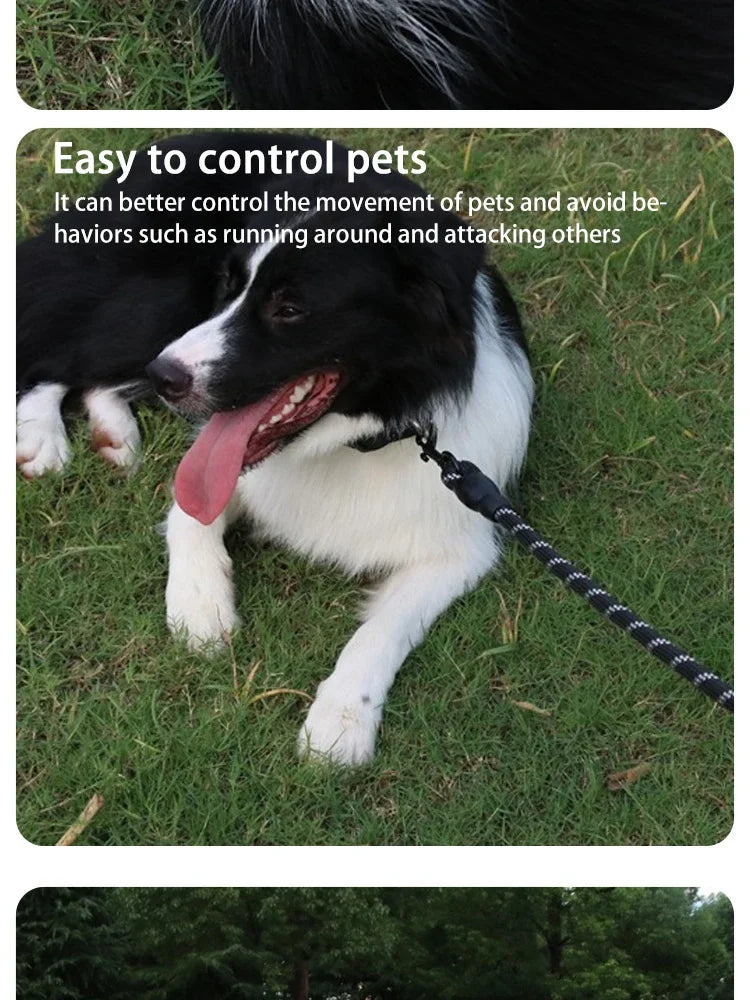 Reflective Nylon Dog Leash