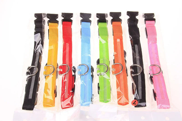 LED Nylon Dog Collar & Leash