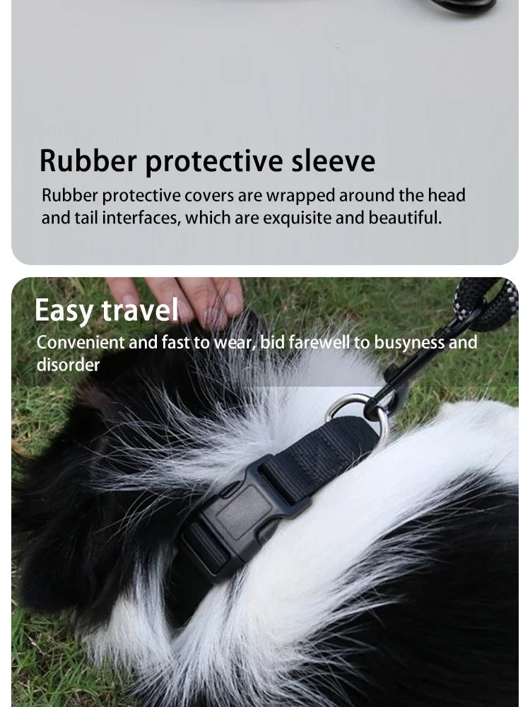 Reflective Nylon Dog Leash