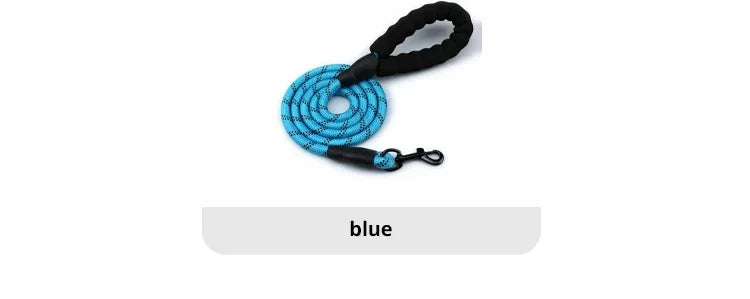 Reflective Nylon Dog Leash