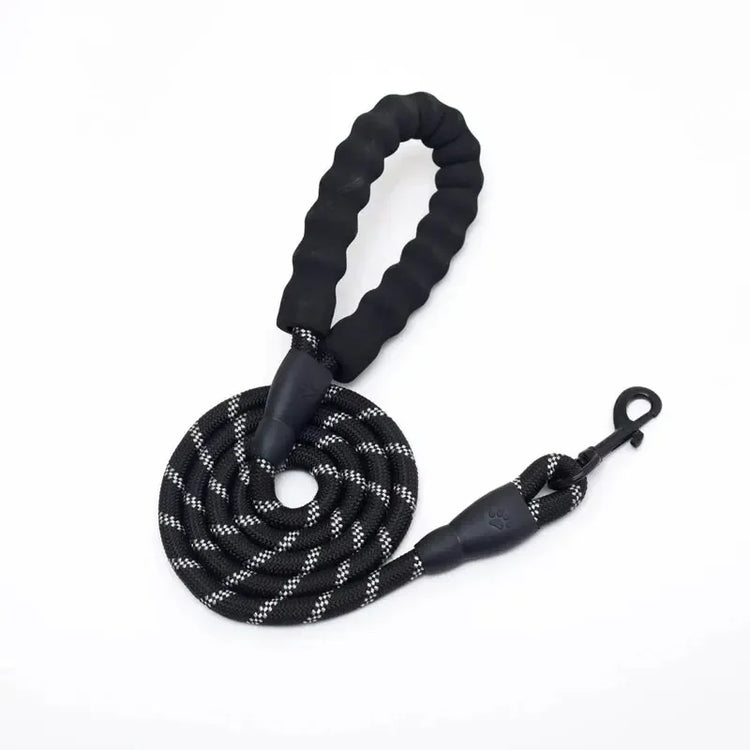 Reflective Nylon Dog Leash