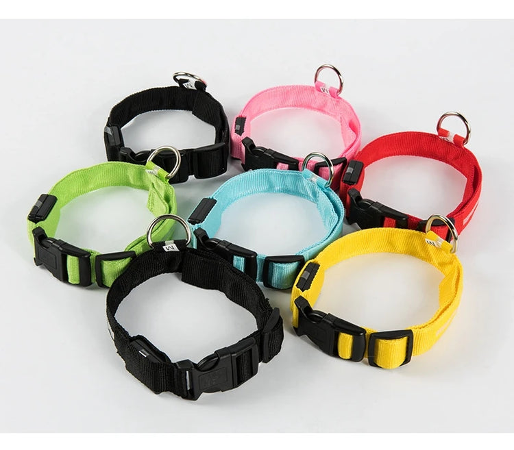 LED Nylon Dog Collar & Leash