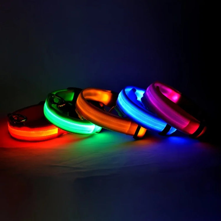 LED Nylon Dog Collar & Leash