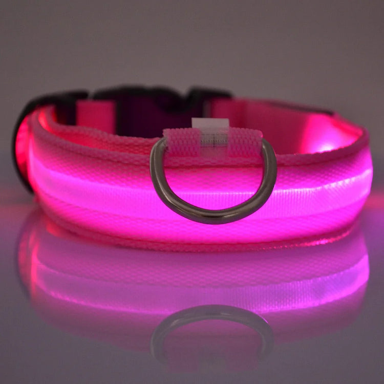 LED Nylon Dog Collar & Leash