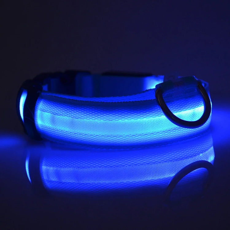 LED Nylon Dog Collar & Leash