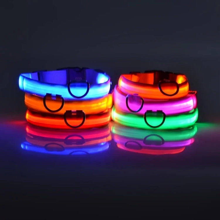 LED Nylon Dog Collar & Leash