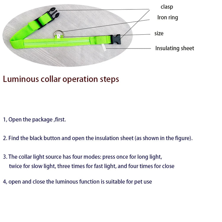 LED Nylon Dog Collar & Leash