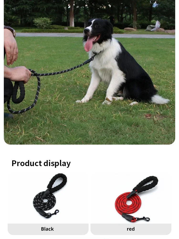 Reflective Nylon Dog Leash