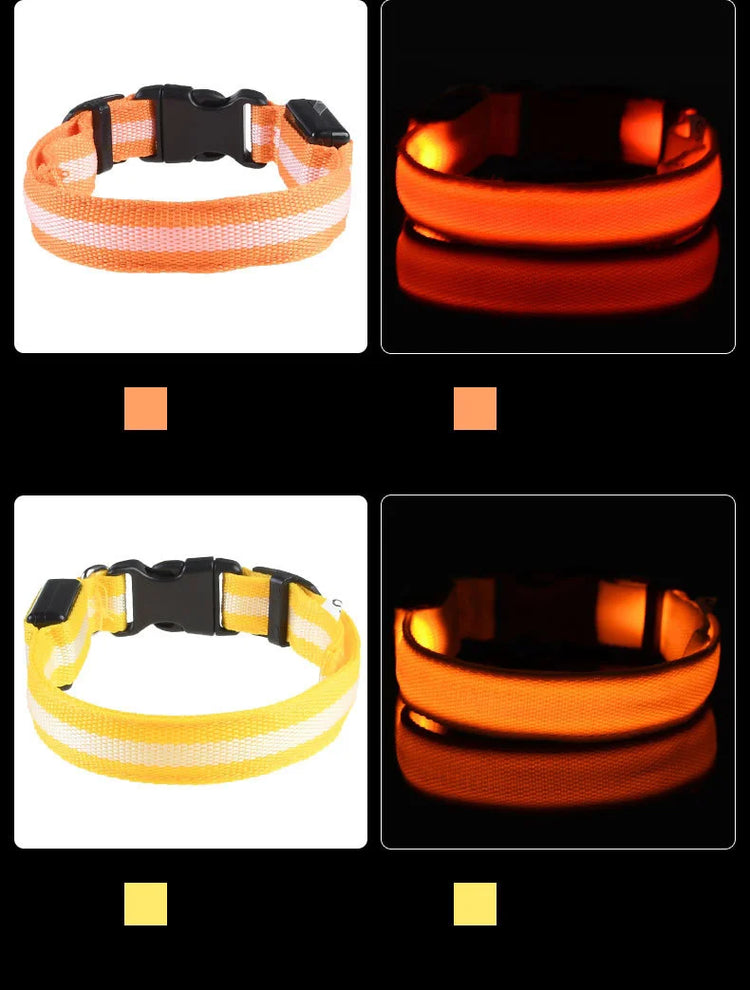 LED Nylon Dog Collar & Leash