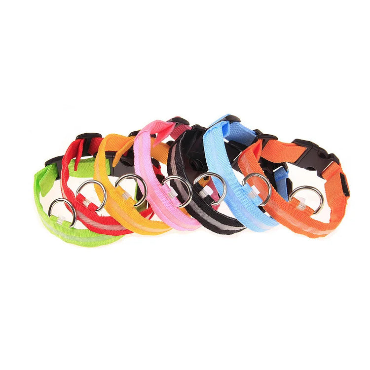 LED Nylon Dog Collar & Leash