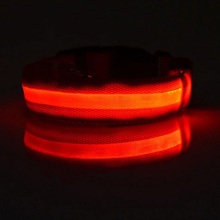 LED Nylon Dog Collar & Leash