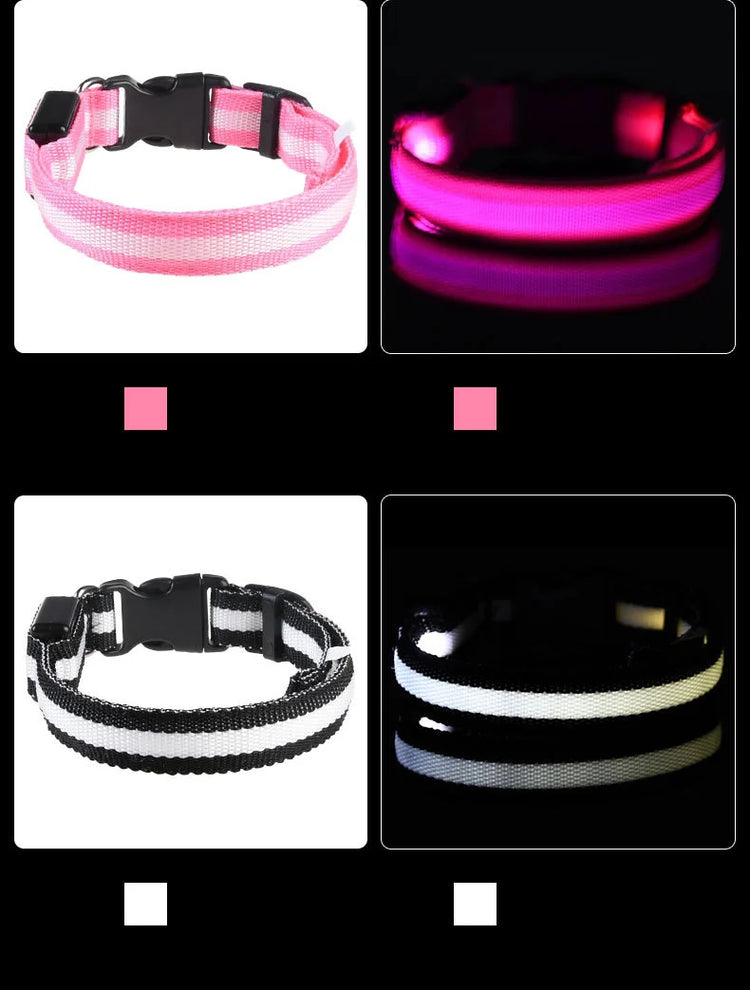LED Nylon Dog Collar & Leash