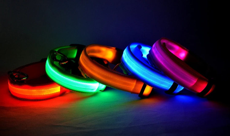 LED Nylon Dog Collar & Leash
