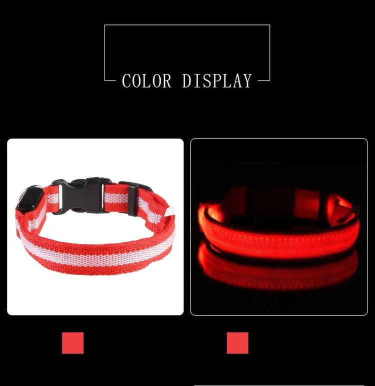 LED Nylon Dog Collar & Leash
