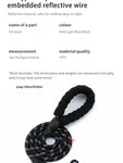 Reflective Nylon Dog Leash