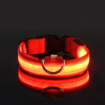 LED Nylon Dog Collar & Leash