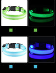 LED Nylon Dog Collar & Leash