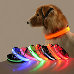 LED Nylon Dog Collar & Leash