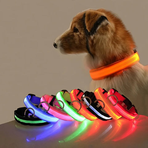 LED Nylon Dog Collar & Leash