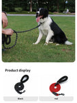Reflective Nylon Dog Leash