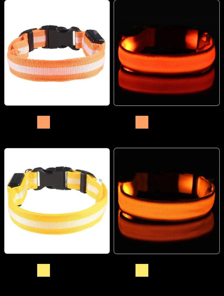 LED Nylon Dog Collar & Leash