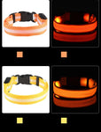 LED Nylon Dog Collar & Leash