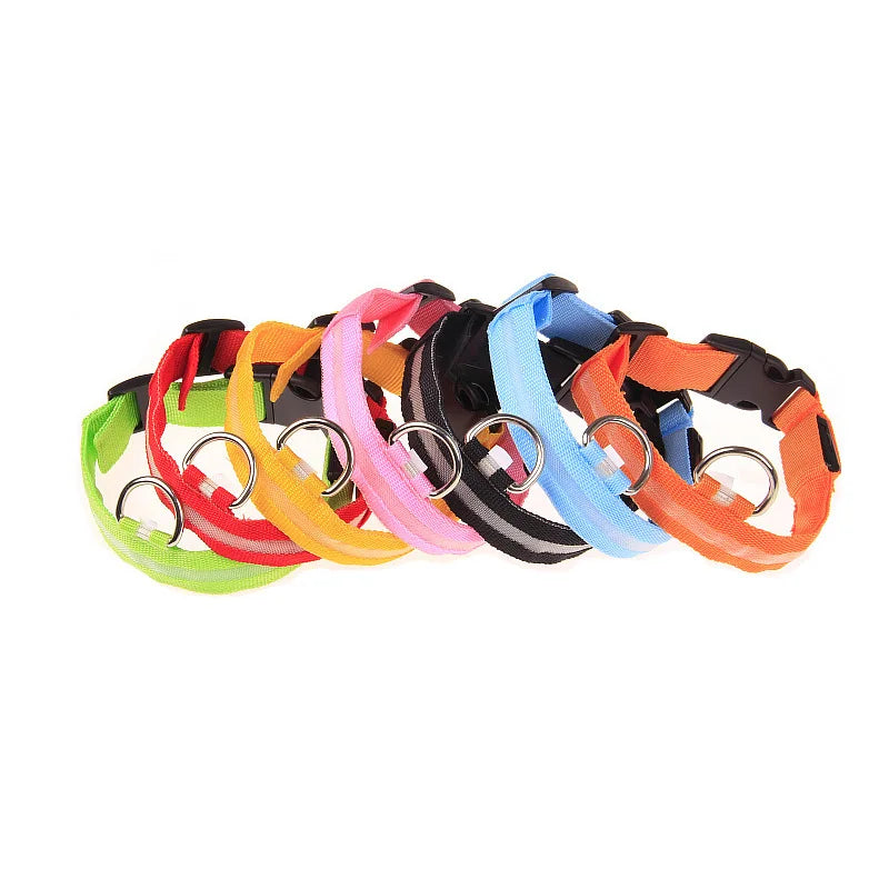 LED Nylon Dog Collar & Leash