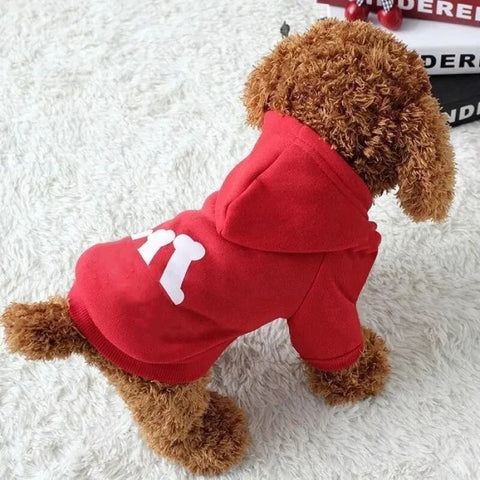 Designer Pet Hoodie