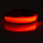LED Nylon Dog Collar & Leash