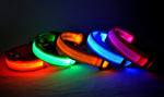 LED Nylon Dog Collar & Leash
